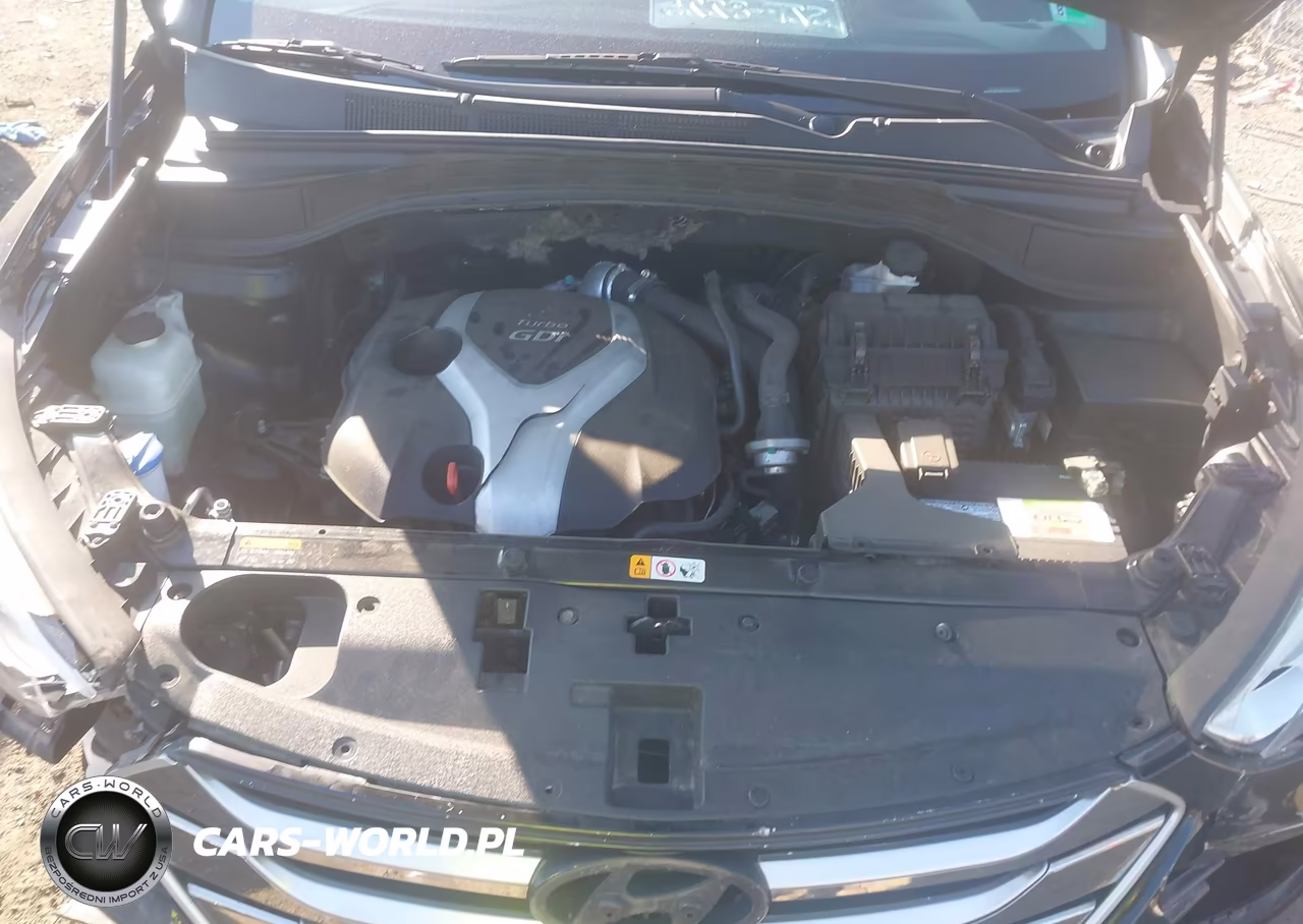 2015 Hyundai Santa Fe Sport 2.0L Turbo VIN:5XYZW4LA7FG264630 - 10
