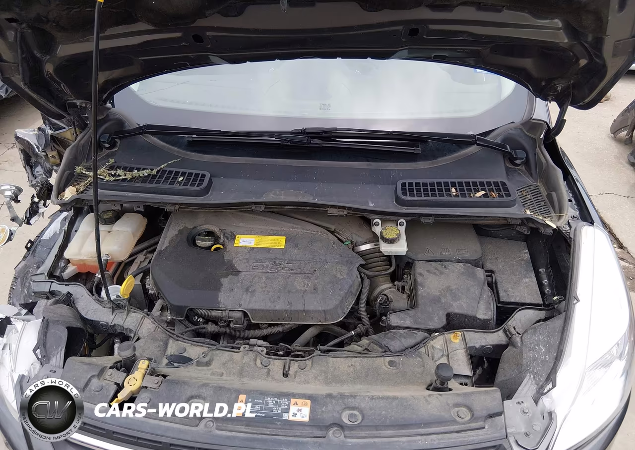 2016 Ford Escape Se VIN:1FMCU0GXXGUC23875 - 10