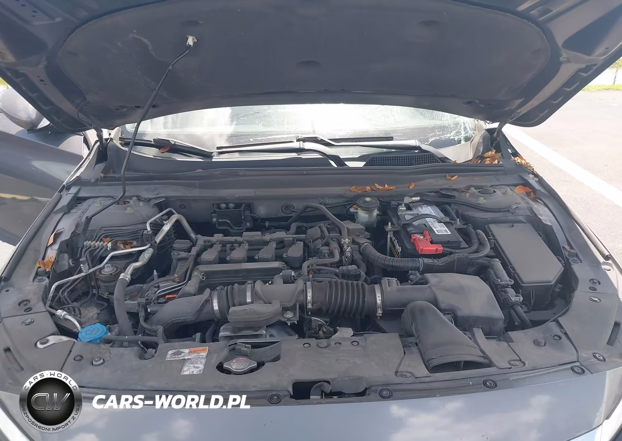 2019 Honda Accord Lx VIN:1HGCV1F1XKA169980 - 10