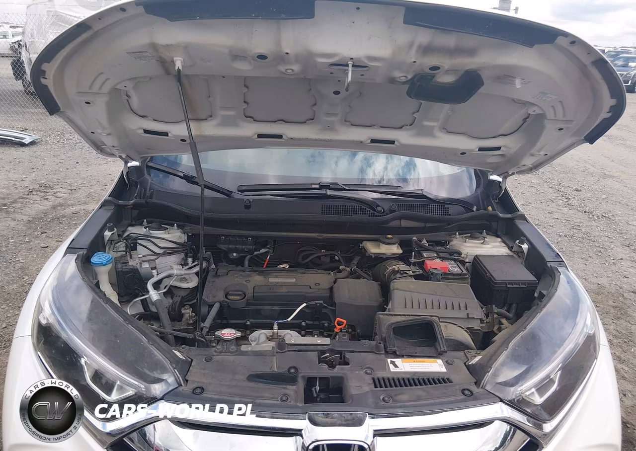 2019 Honda Cr-V Lx VIN:2HKRW5H39KH417074 - 10