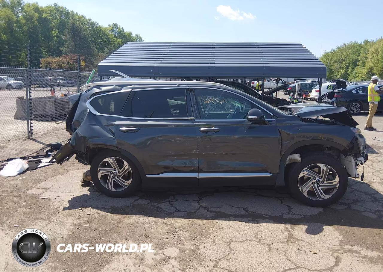 2021 Hyundai Santa Fe Sel VIN:5NMS6DAJ0MH364303 - 12