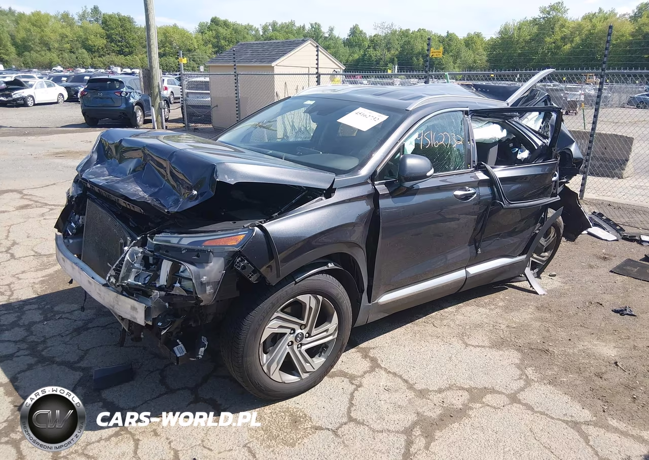 2021 Hyundai Santa Fe Sel VIN:5NMS6DAJ0MH364303 - 2