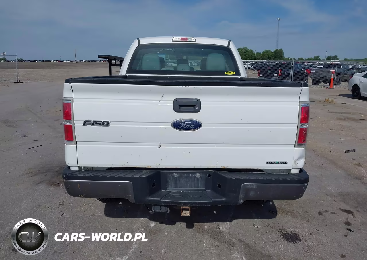 2014 Ford F-150 Xl VIN:1FTEX1EM3EKE73826 - 16