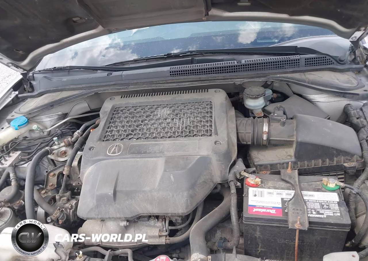 2009 Acura Rdx VIN:5J8TB185X9A005261 - 10