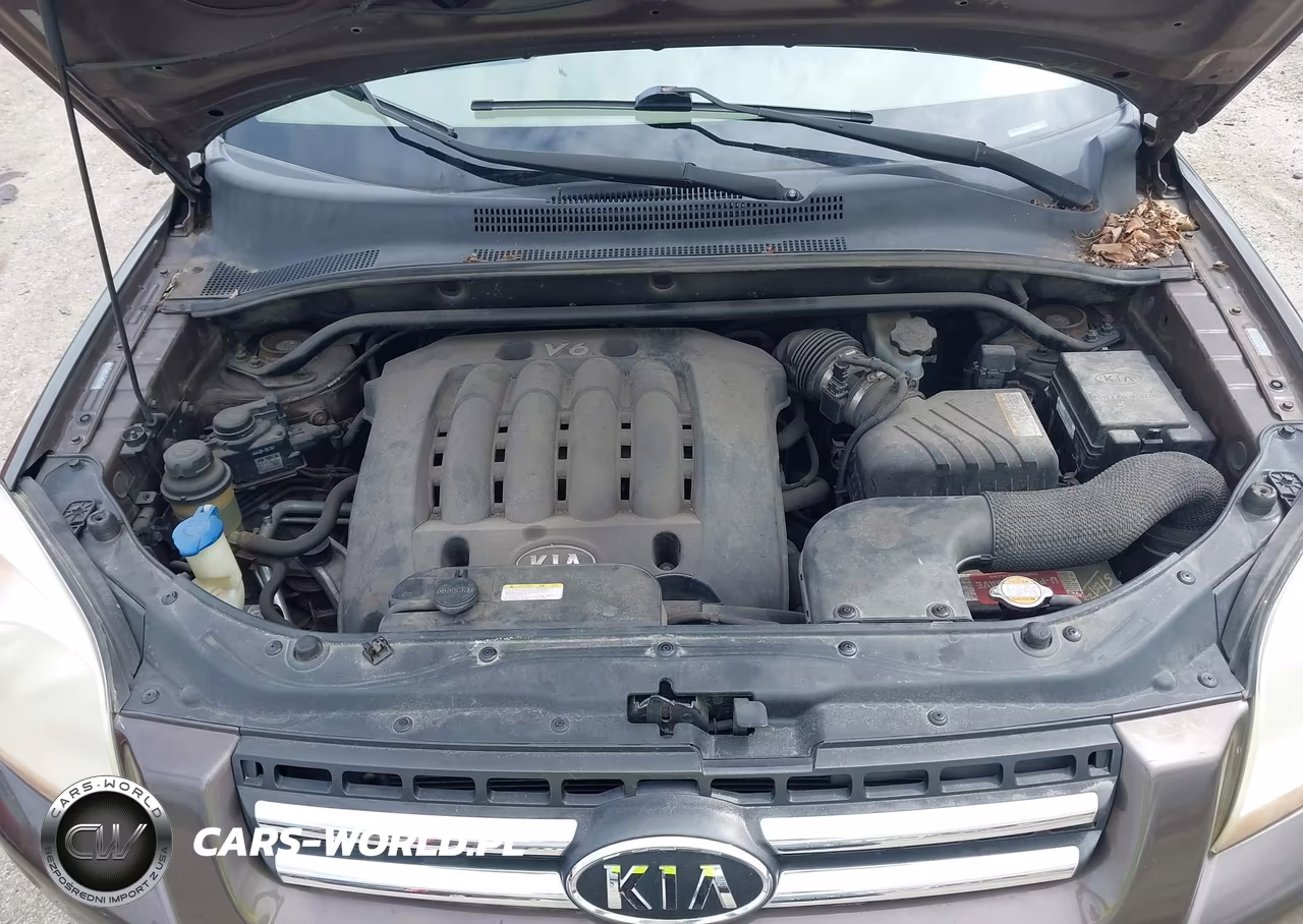 2007 Kia Sportage Ex V6 VIN:KNDJF723477422843 - 10