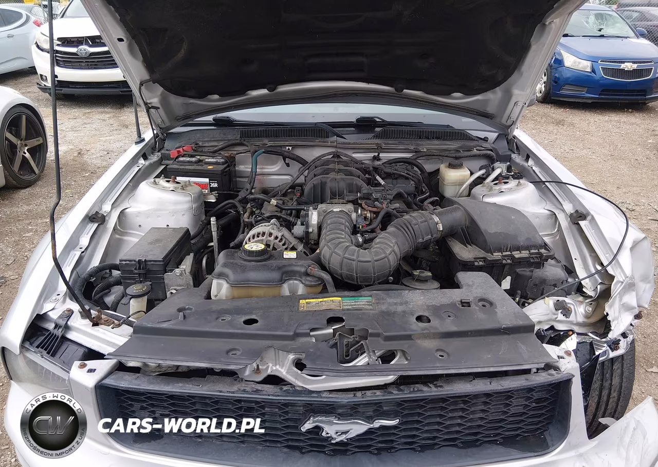 2008 Ford Mustang V6 Deluxe-V6 Premium VIN:1ZVHT84N585190470 - 10