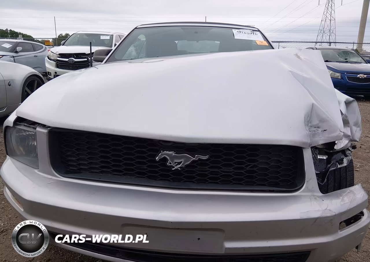 2008 Ford Mustang V6 Deluxe-V6 Premium VIN:1ZVHT84N585190470 - 12