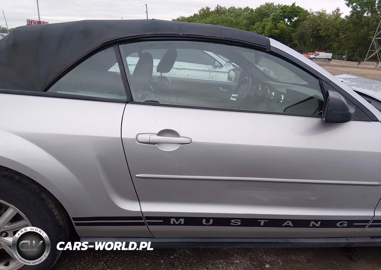 2008 Ford Mustang V6 Deluxe-V6 Premium VIN:1ZVHT84N585190470 - 13