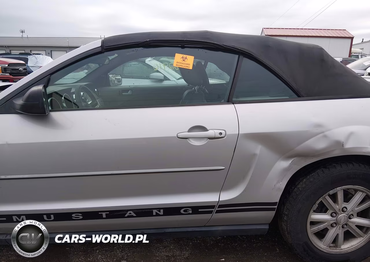 2008 Ford Mustang V6 Deluxe-V6 Premium VIN:1ZVHT84N585190470 - 14