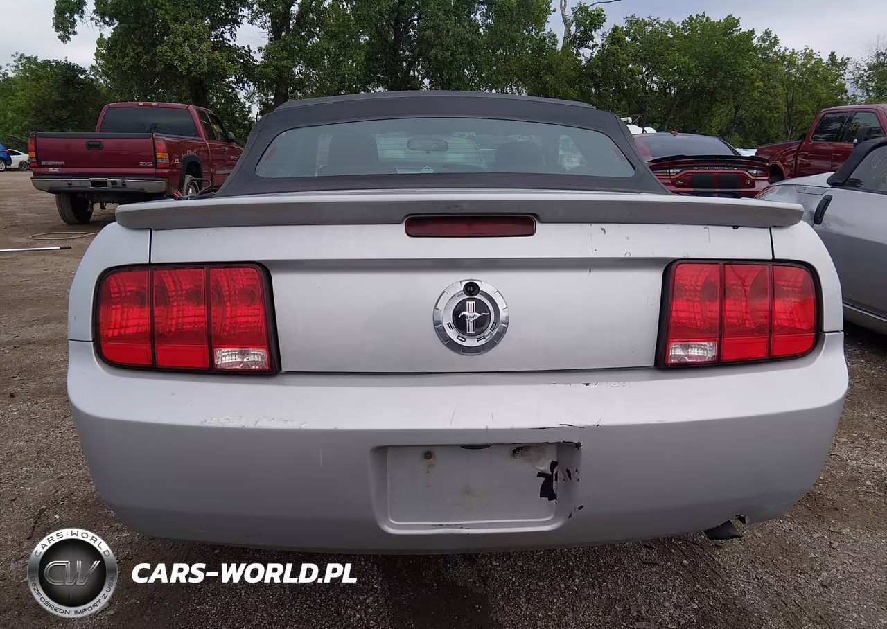 2008 Ford Mustang V6 Deluxe-V6 Premium VIN:1ZVHT84N585190470 - 16