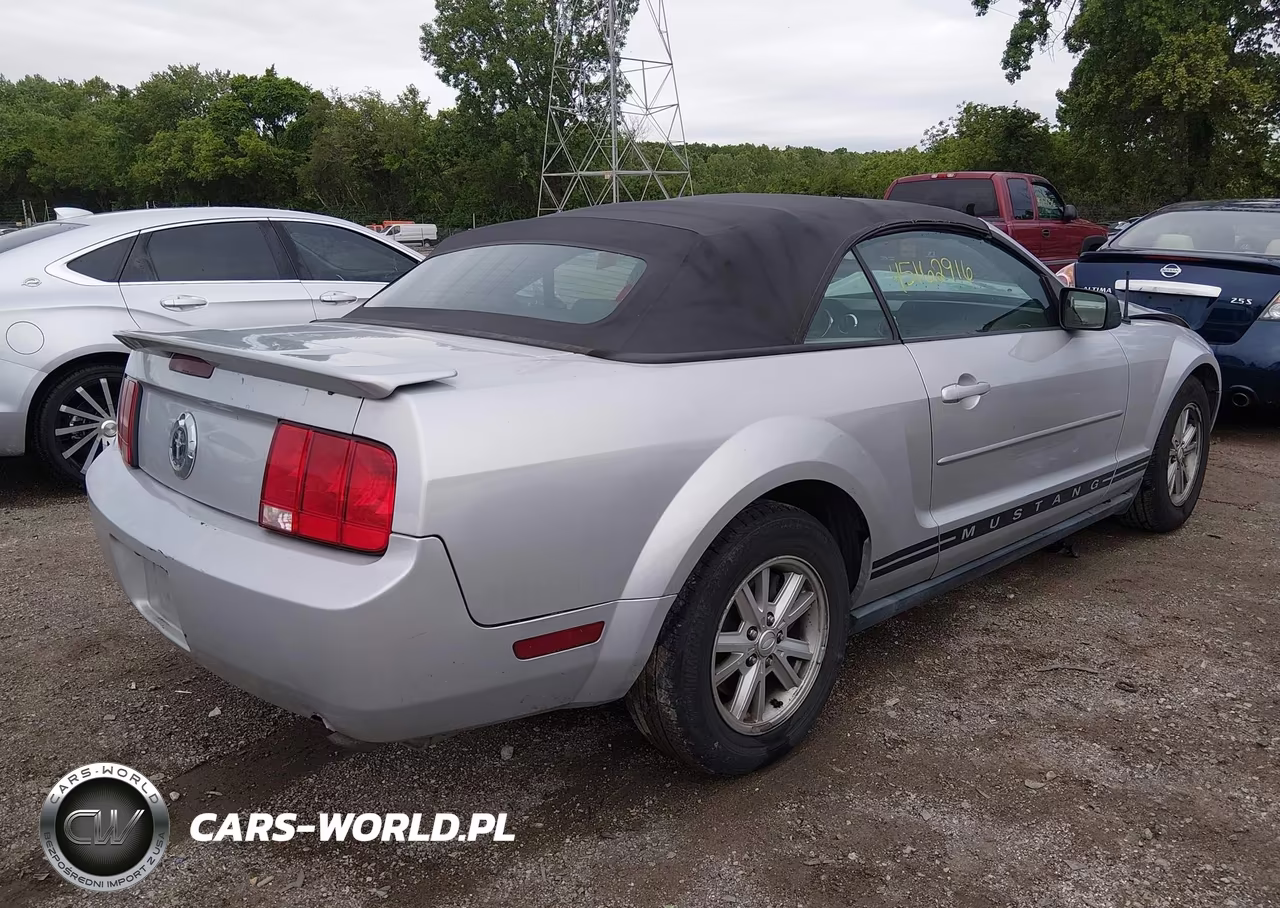 2008 Ford Mustang V6 Deluxe-V6 Premium VIN:1ZVHT84N585190470 - 4