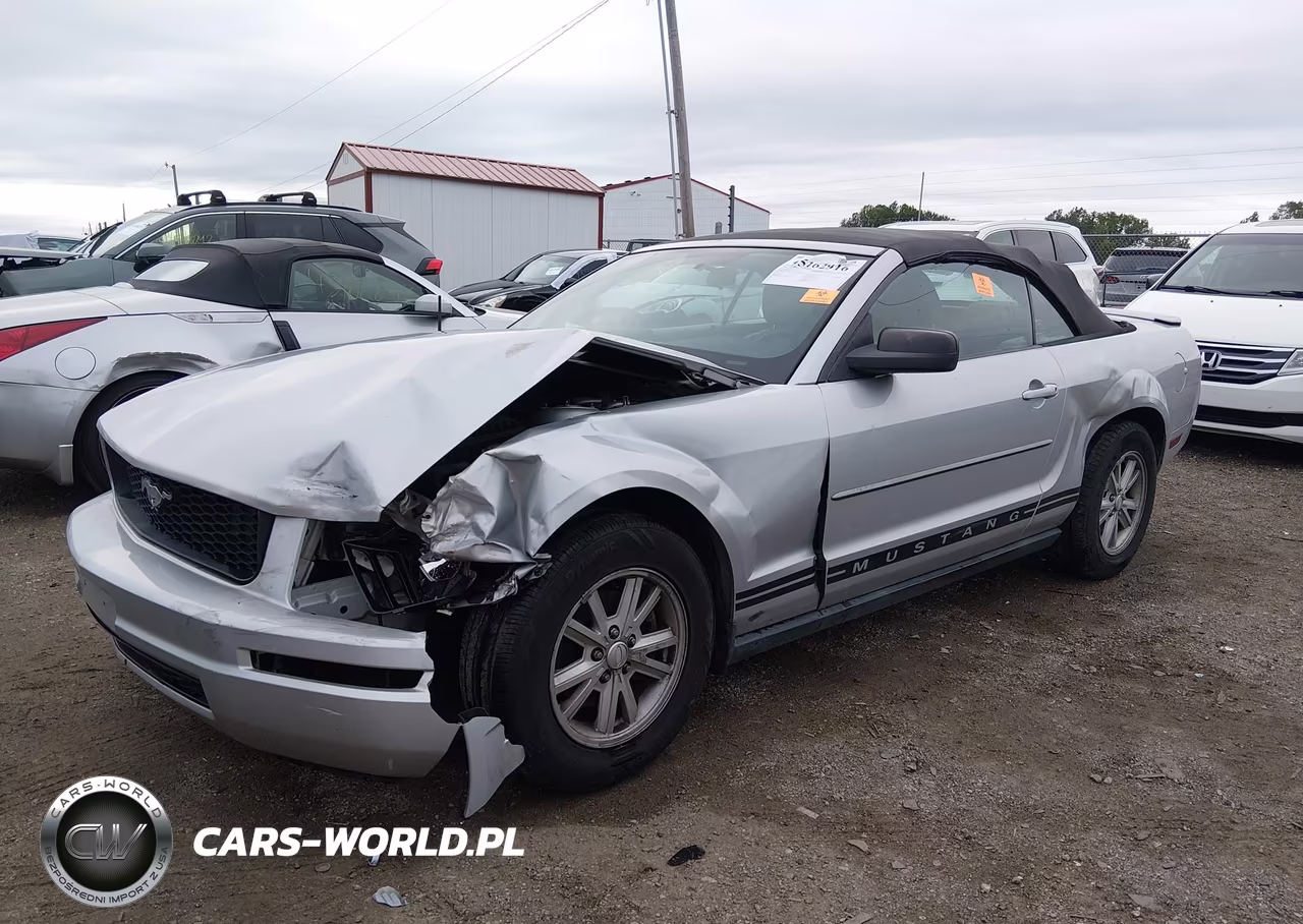 2008 Ford Mustang V6 Deluxe-V6 Premium VIN:1ZVHT84N585190470 - 6