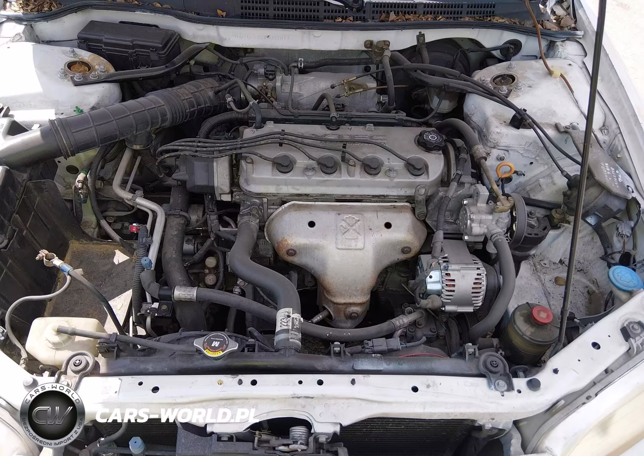 1998 Honda Accord Lx VIN:1HGCG5646WA037011 - 10