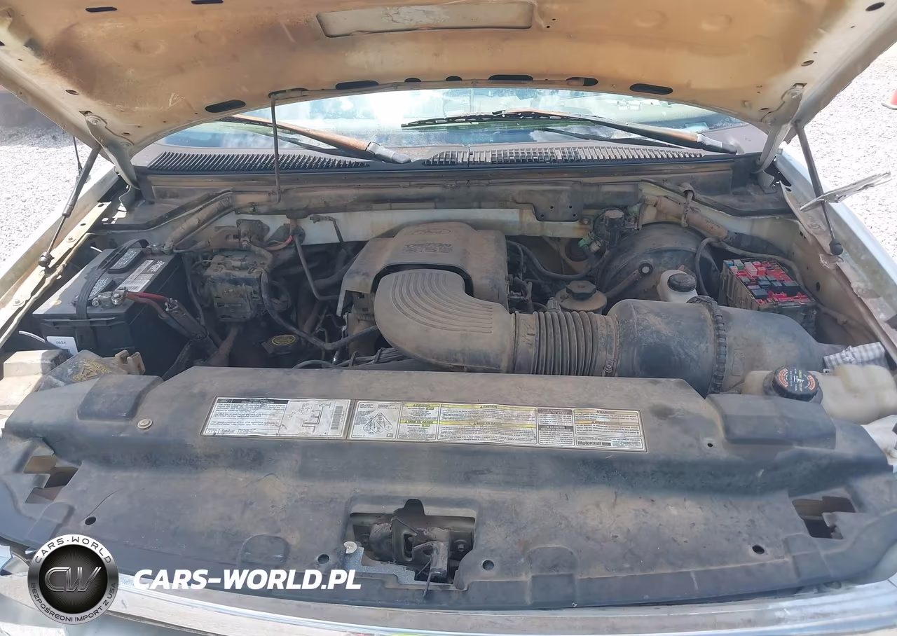 1999 Ford F-150 Lariat-Work Series-Xl-Xlt VIN:1FTRF17W0XNA90432 - 10