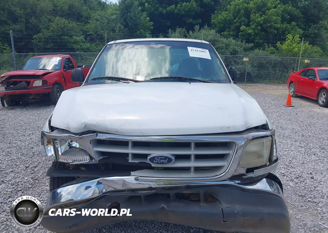 1999 Ford F-150 Lariat-Work Series-Xl-Xlt VIN:1FTRF17W0XNA90432 - 12