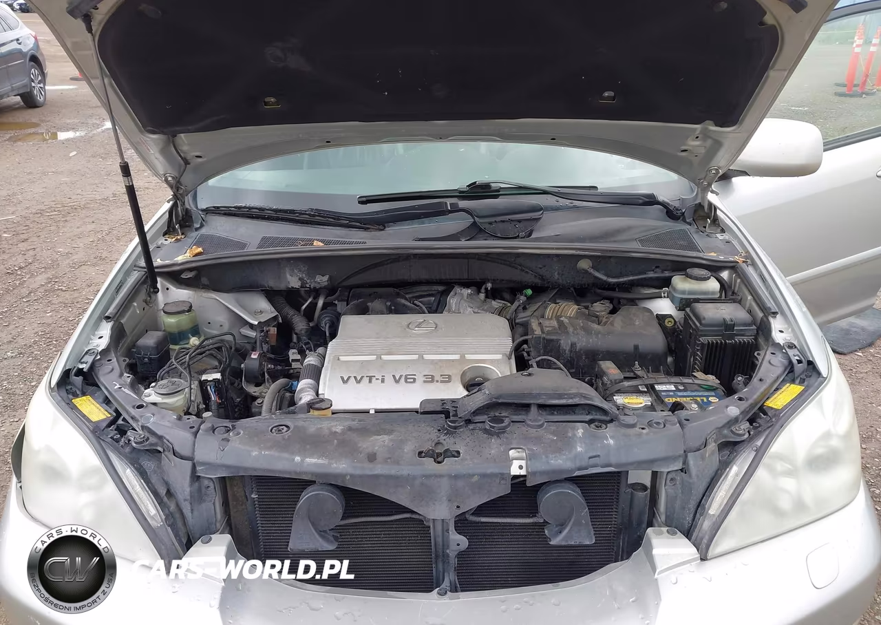 2004 Lexus Rx 330 VIN:JTJHA31U240062795 - 10