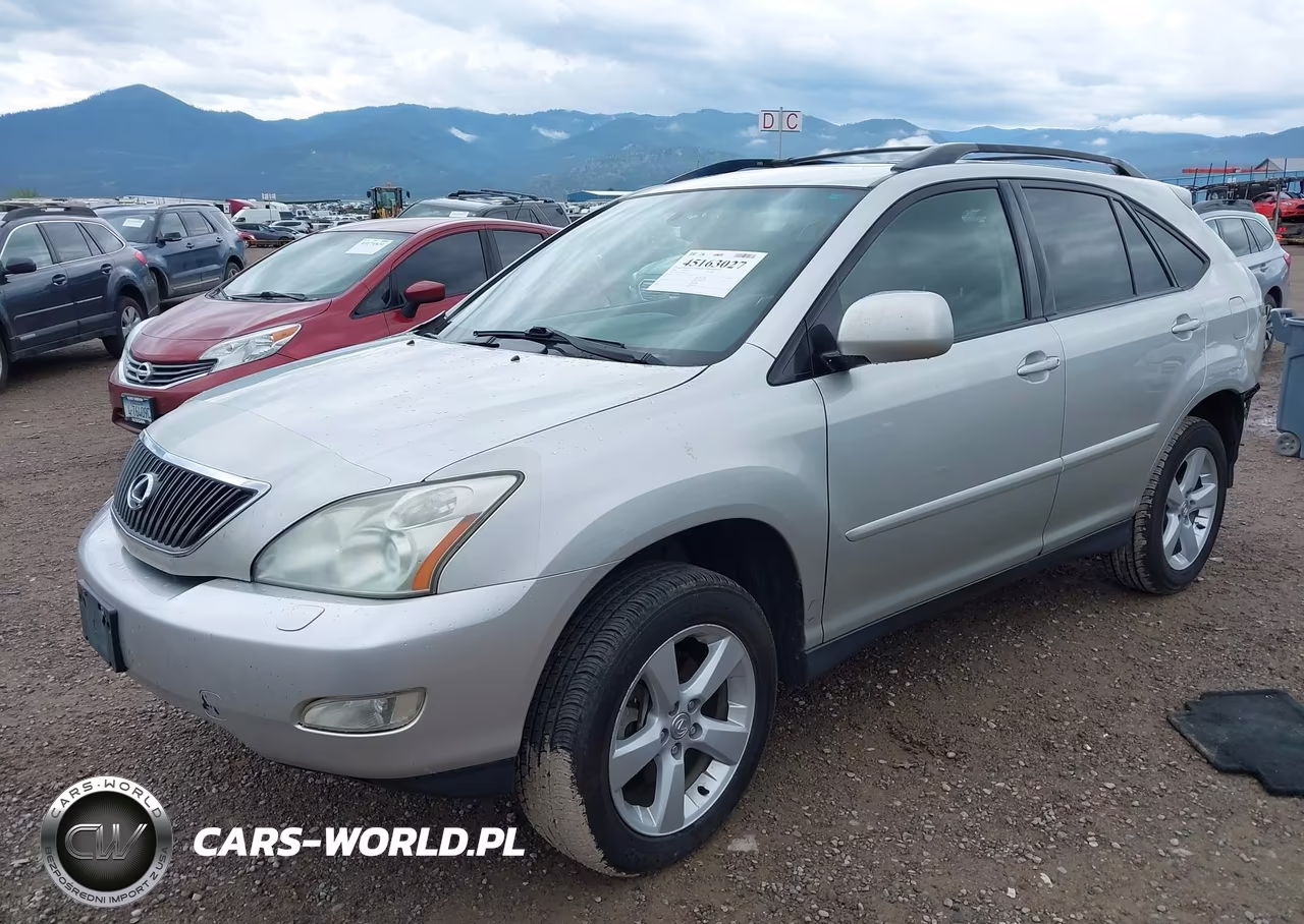 2004 Lexus Rx 330 VIN:JTJHA31U240062795 - 2