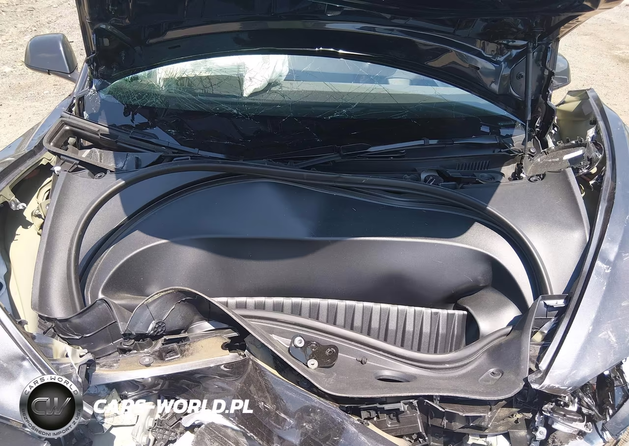 2025 Tesla Model 3 Long Range Rear-Wheel Drive-Standard Rear-Wheel Drive VIN:5YJ3E1EA9SF039289 - 10