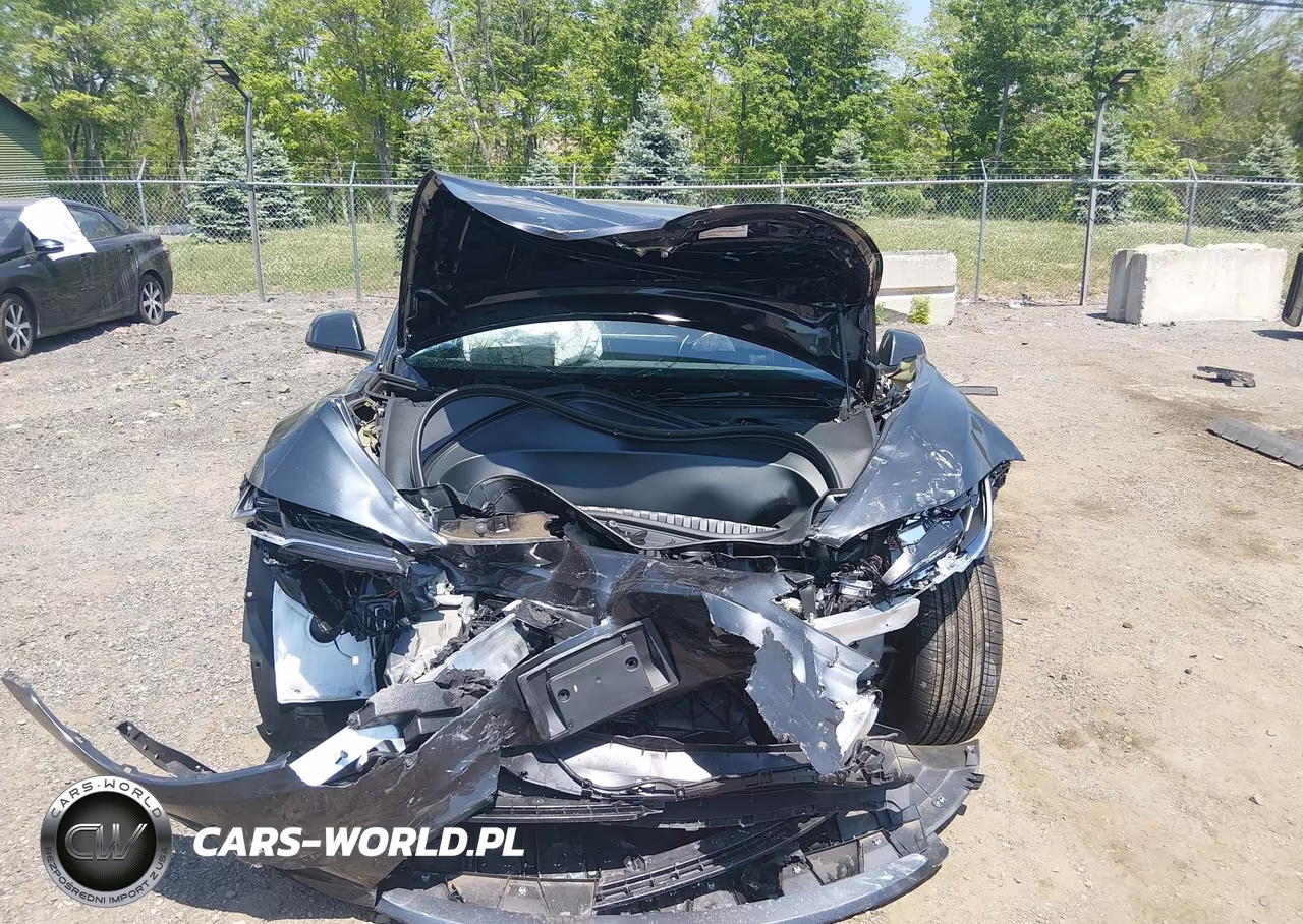 2025 Tesla Model 3 Long Range Rear-Wheel Drive-Standard Rear-Wheel Drive VIN:5YJ3E1EA9SF039289 - 11