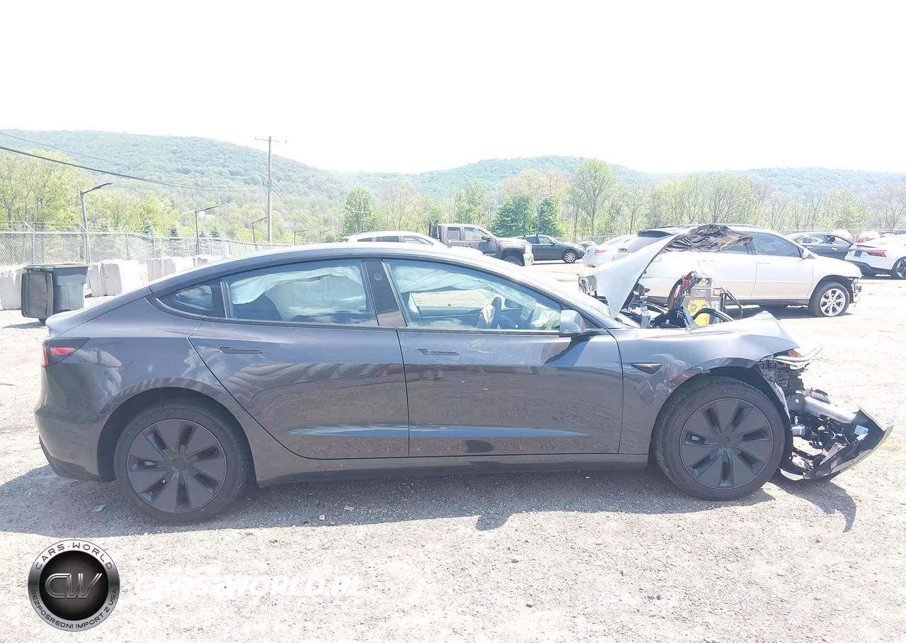2025 Tesla Model 3 Long Range Rear-Wheel Drive-Standard Rear-Wheel Drive VIN:5YJ3E1EA9SF039289 - 12