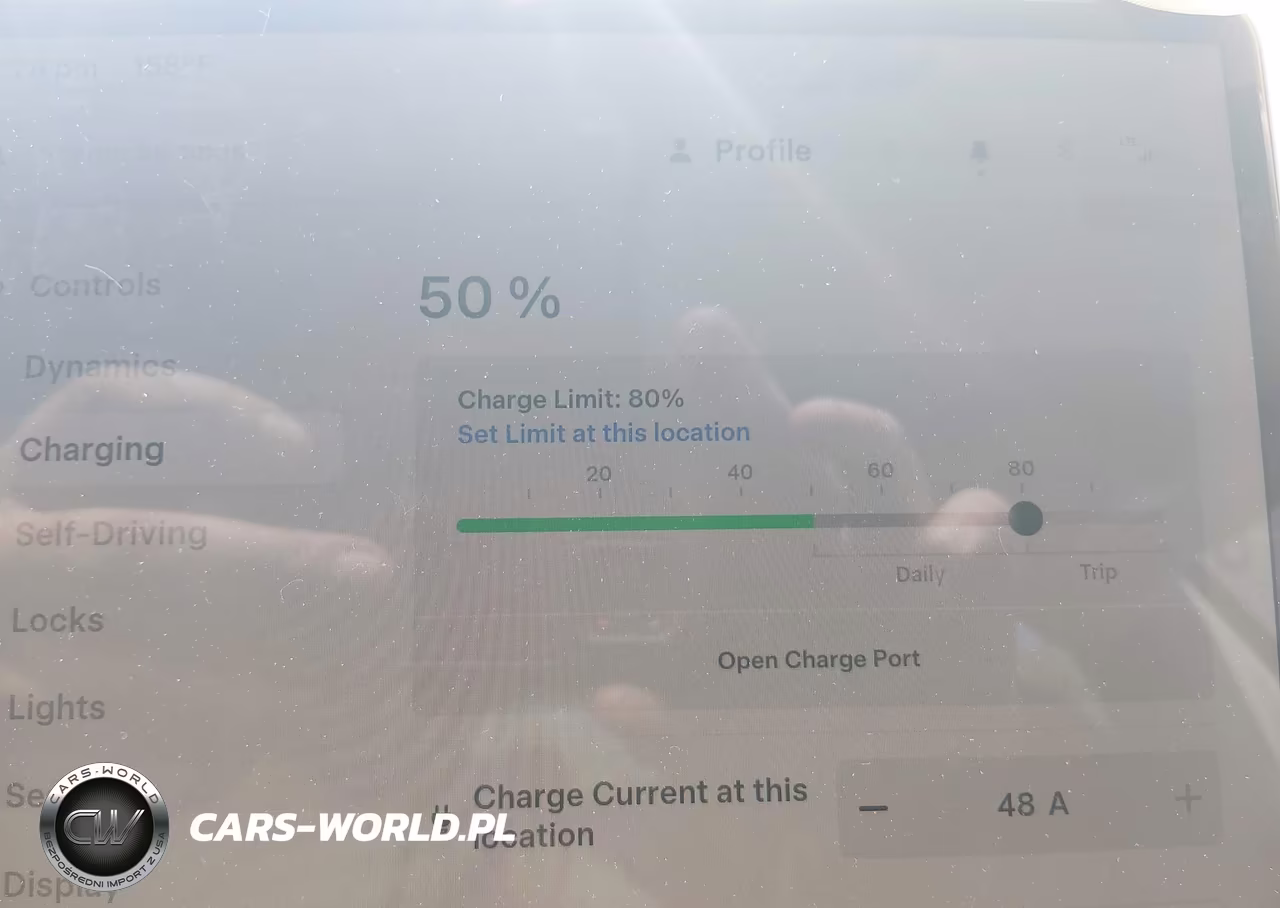 2025 Tesla Model 3 Long Range Rear-Wheel Drive-Standard Rear-Wheel Drive VIN:5YJ3E1EA9SF039289 - 16