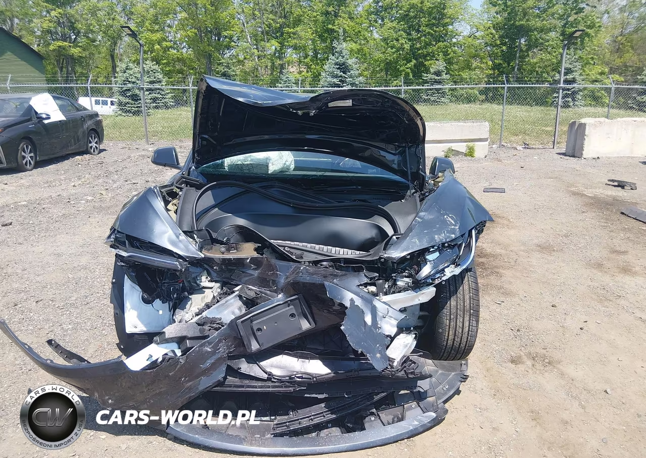 2025 Tesla Model 3 Long Range Rear-Wheel Drive-Standard Rear-Wheel Drive VIN:5YJ3E1EA9SF039289 - 6