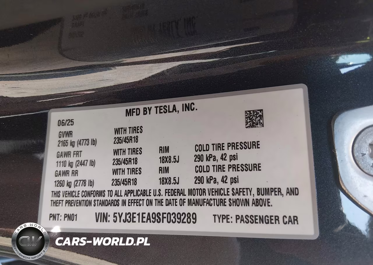 2025 Tesla Model 3 Long Range Rear-Wheel Drive-Standard Rear-Wheel Drive VIN:5YJ3E1EA9SF039289 - 9