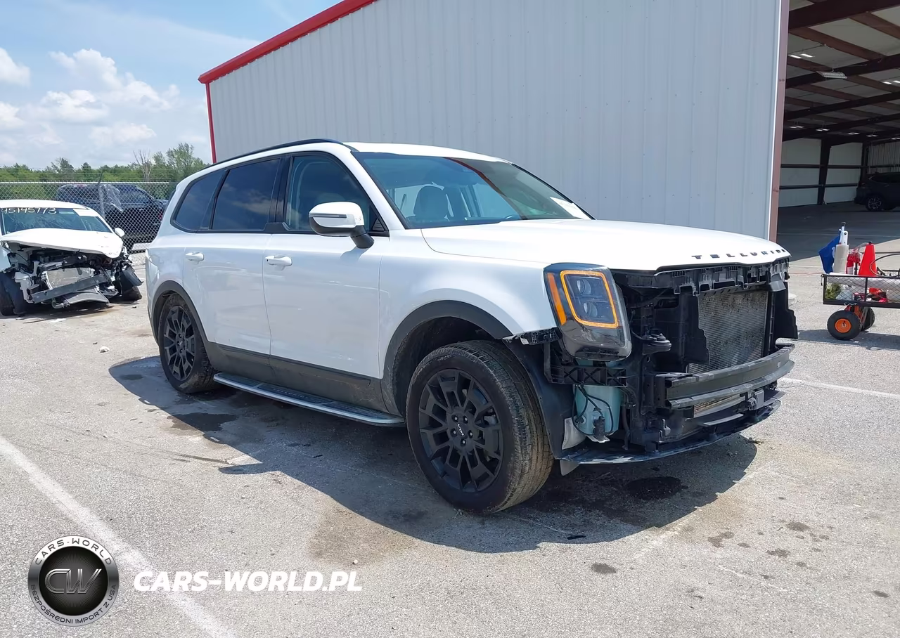2022 Kia Telluride Ex – zdjęcie 1 z 17