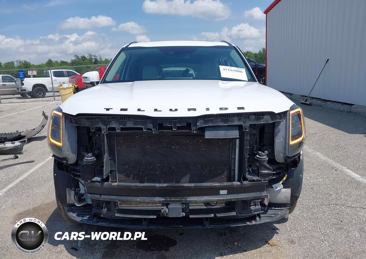 2022 Kia Telluride Ex VIN:5XYP3DHC8NG297533 - 13