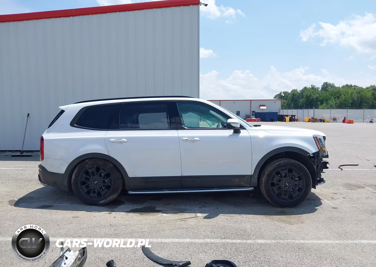 2022 Kia Telluride Ex VIN:5XYP3DHC8NG297533 - 14