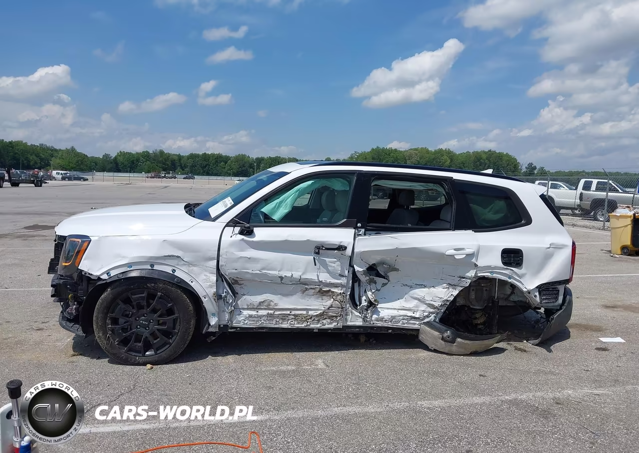 2022 Kia Telluride Ex VIN:5XYP3DHC8NG297533 - 15