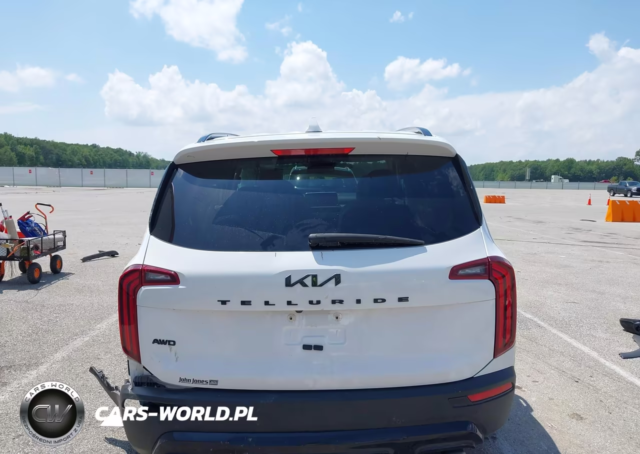 2022 Kia Telluride Ex VIN:5XYP3DHC8NG297533 - 17