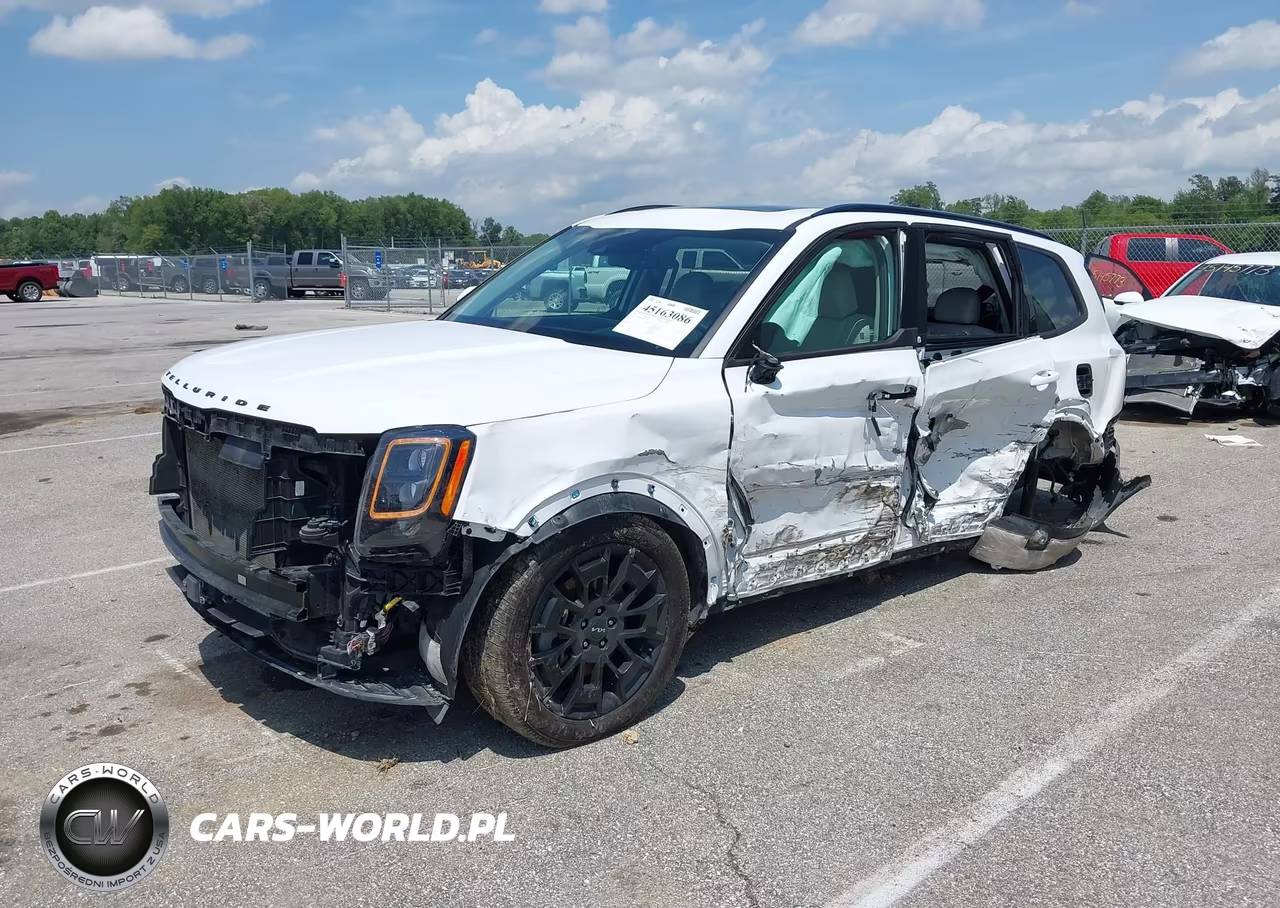 2022 Kia Telluride Ex VIN:5XYP3DHC8NG297533 - 2