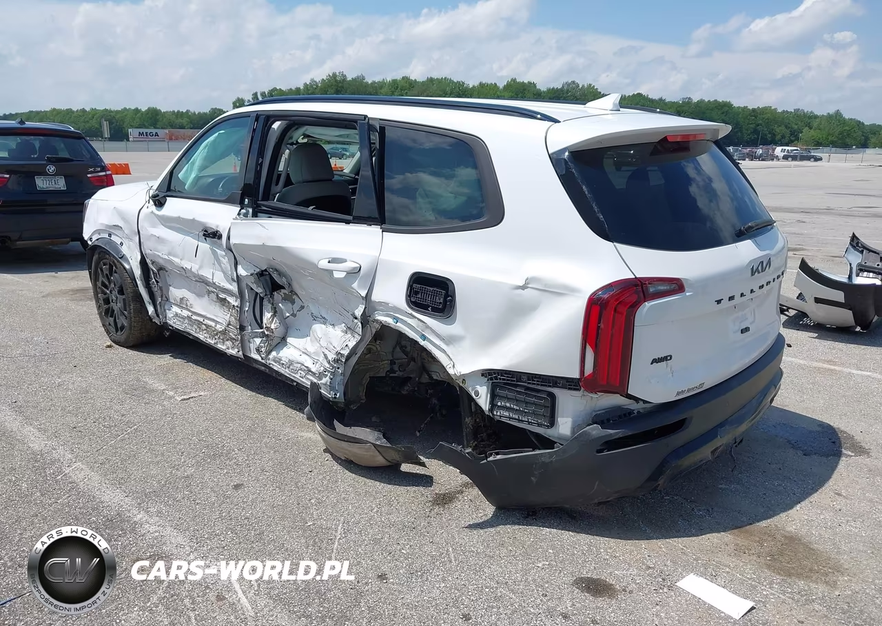 2022 Kia Telluride Ex VIN:5XYP3DHC8NG297533 - 3