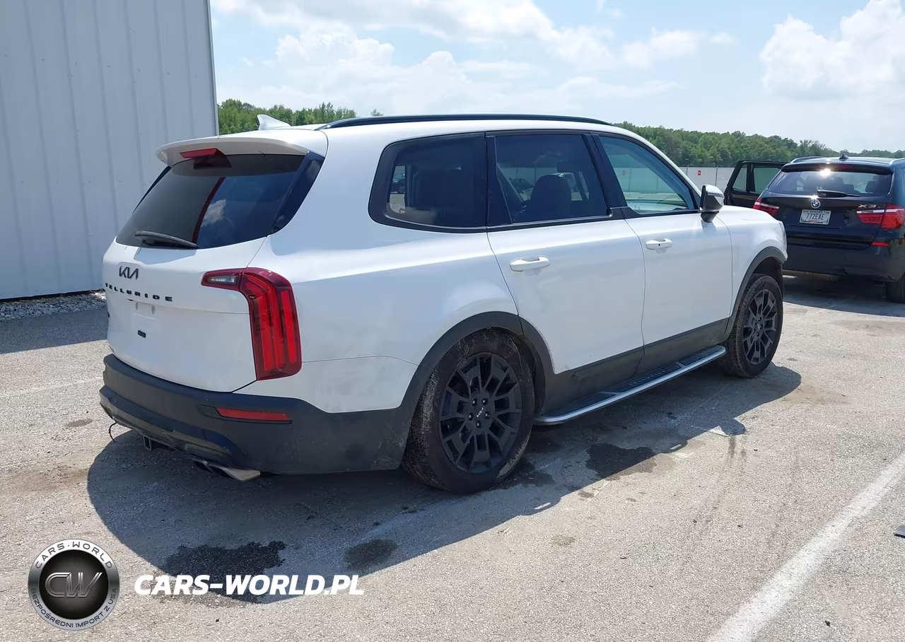 2022 Kia Telluride Ex VIN:5XYP3DHC8NG297533 - 4