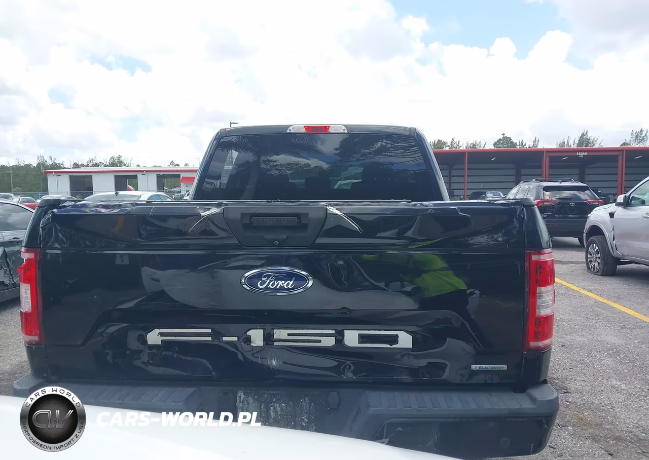 2019 Ford F-150 Xl VIN:1FTEW1C46KFC96733 - 16