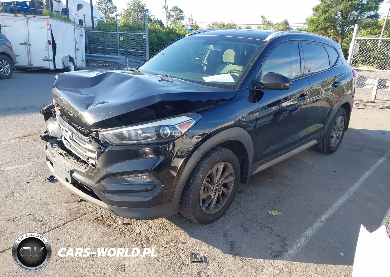 2017 Hyundai Tucson Se VIN:KM8J3CA46HU554884 - 2