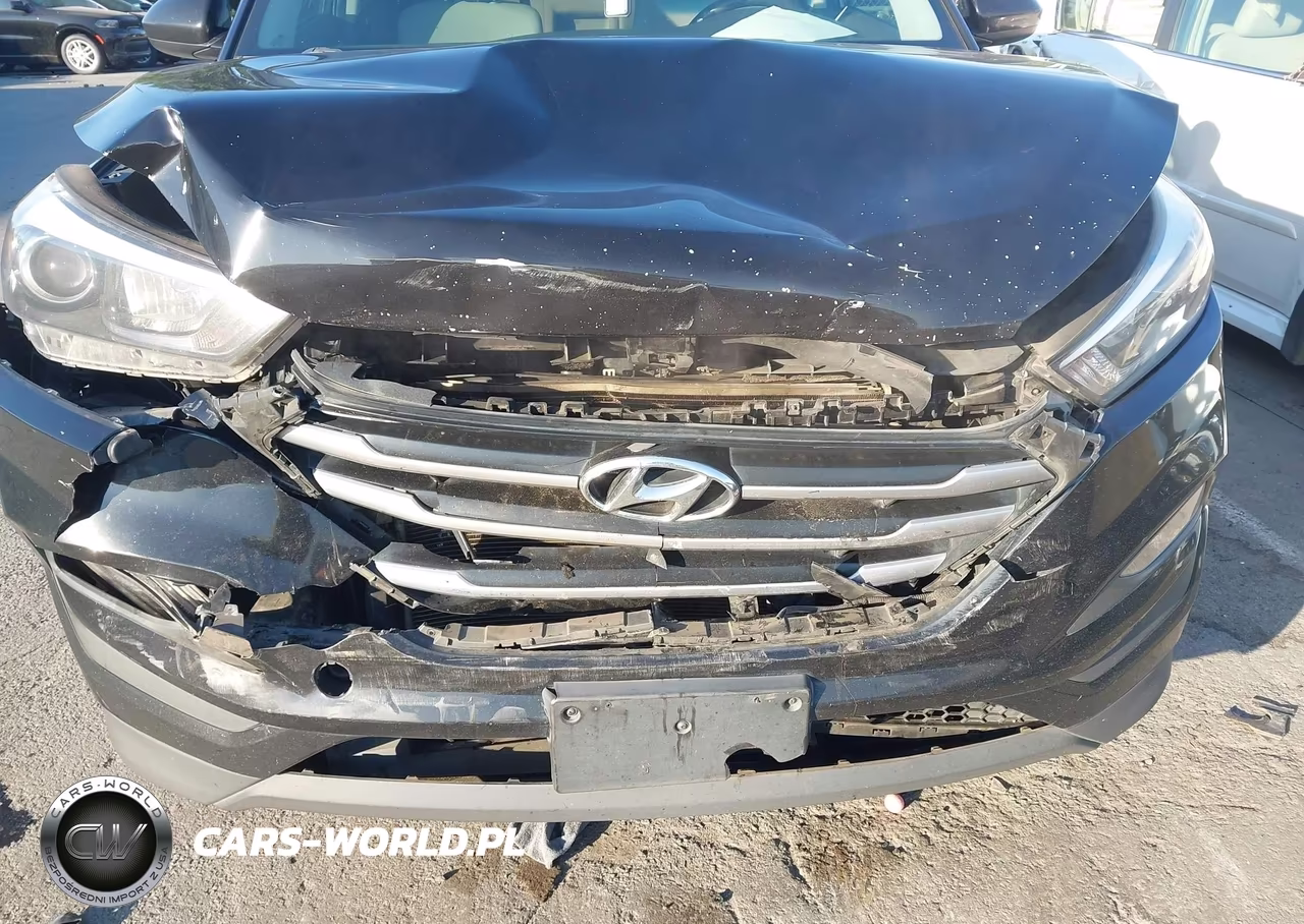 2017 Hyundai Tucson Se VIN:KM8J3CA46HU554884 - 6