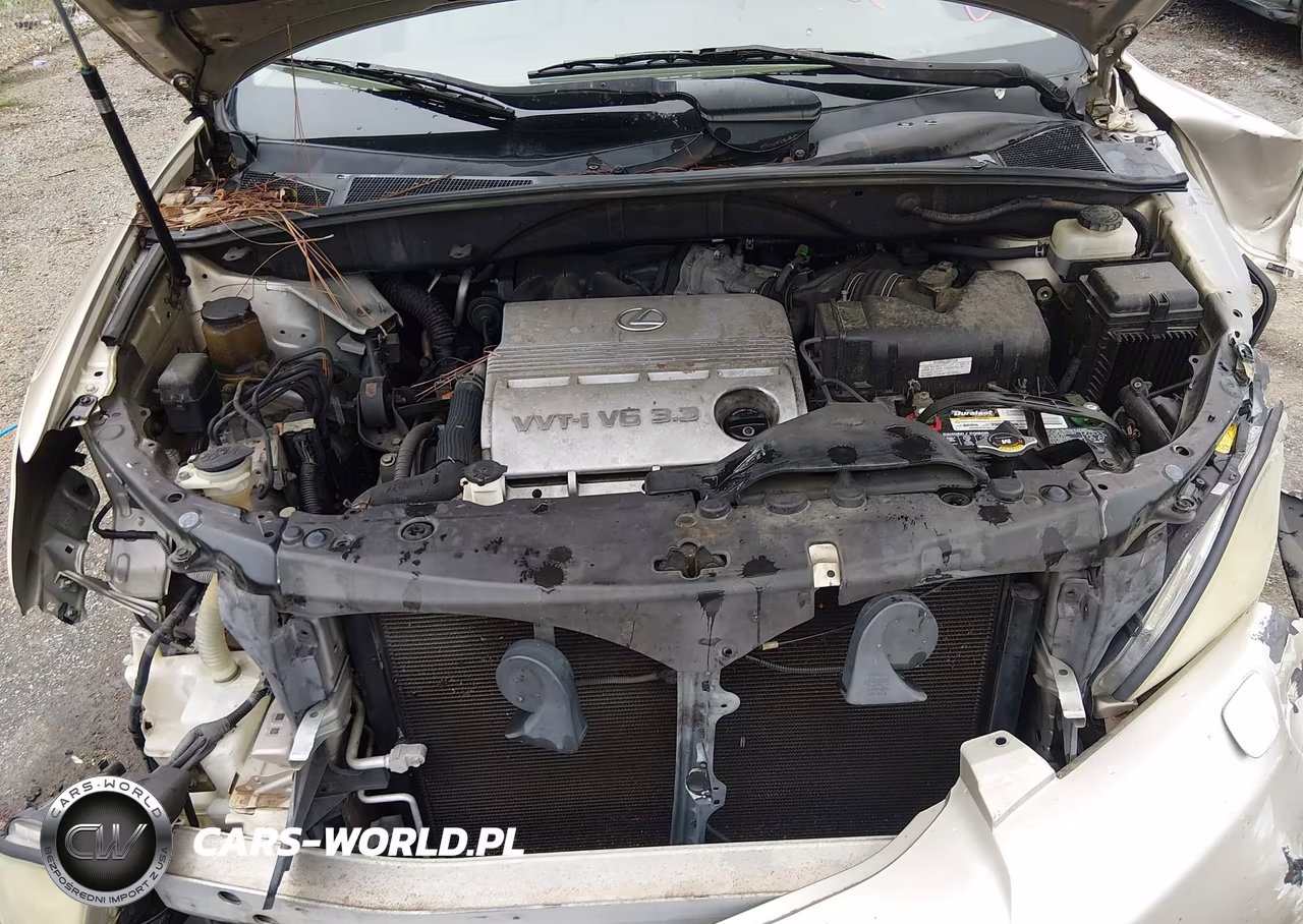 2006 Lexus Rx 330 VIN:JTJHA31U060104027 - 10