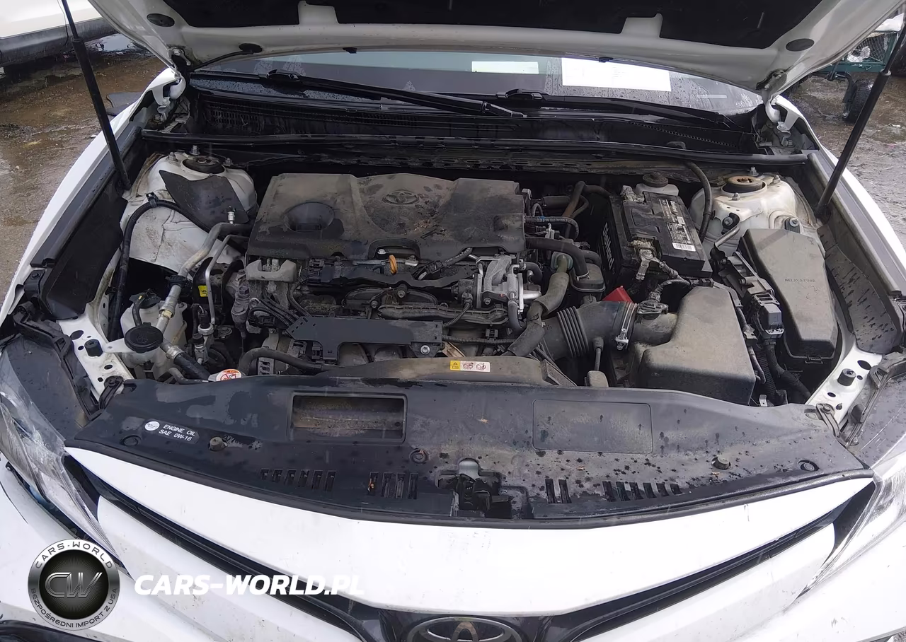 2019 Toyota Camry Le VIN:4T1B11HK1KU820645 - 10