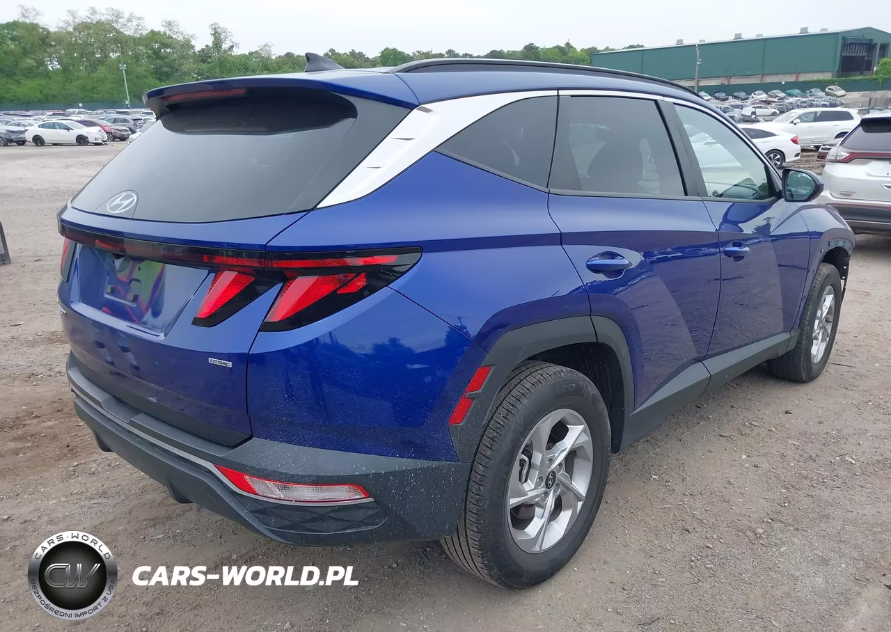 2024 Hyundai Tucson Sel VIN:5NMJBCDE7RH296296 - 4