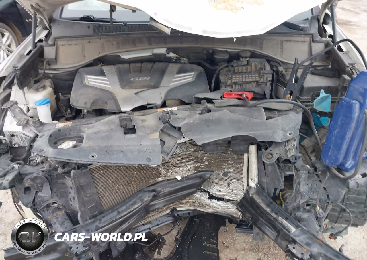 2014 Hyundai Santa Fe Gls VIN:KM8SM4HF2EU056479 - 10