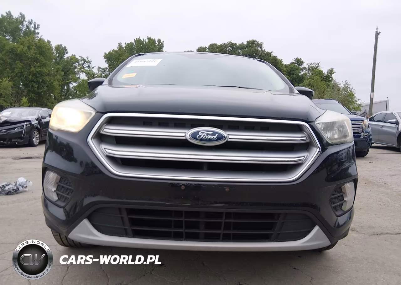 2017 Ford Escape Se VIN:1FMCU0GD1HUC86841 - 17