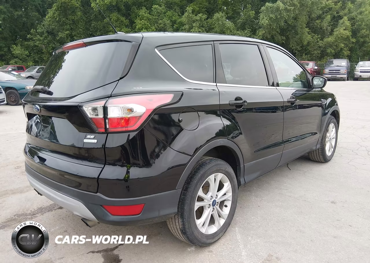 2017 Ford Escape Se VIN:1FMCU0GD1HUC86841 - 4