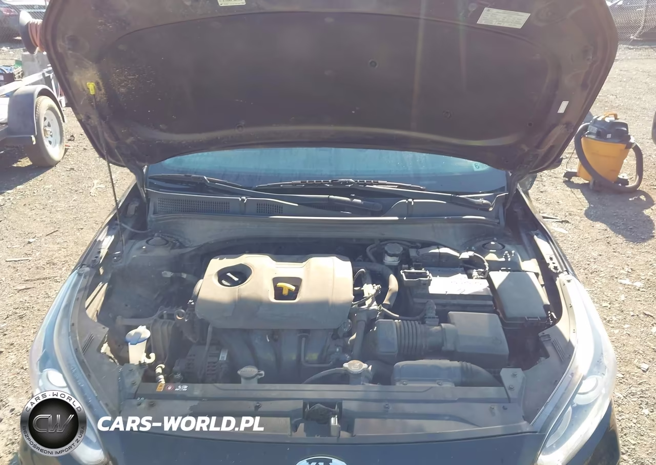 2019 Kia Forte Fe VIN:3KPF24ADXKE121139 - 10