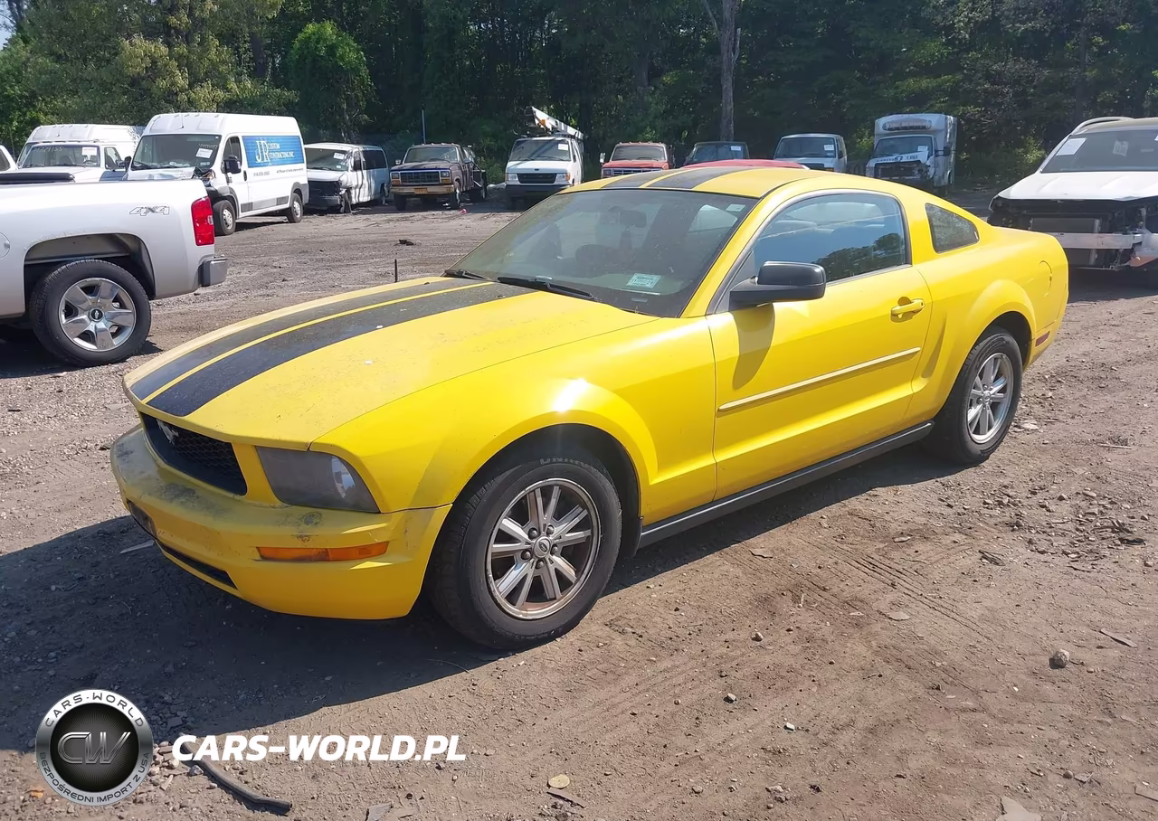 2005 Ford Mustang V6 Deluxe-V6 Premium VIN:1ZVFT80N355219781 - 2