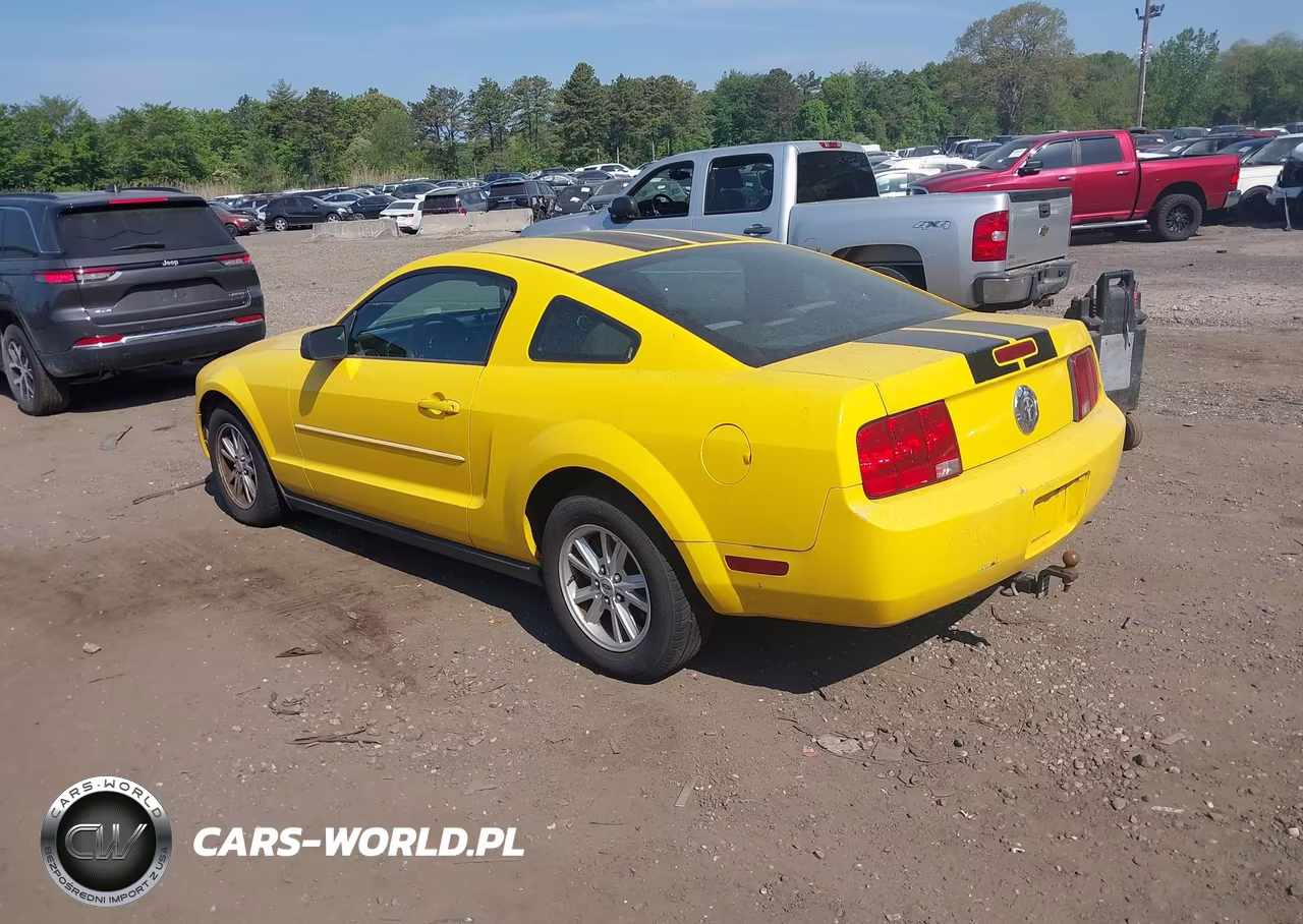 2005 Ford Mustang V6 Deluxe-V6 Premium VIN:1ZVFT80N355219781 - 3