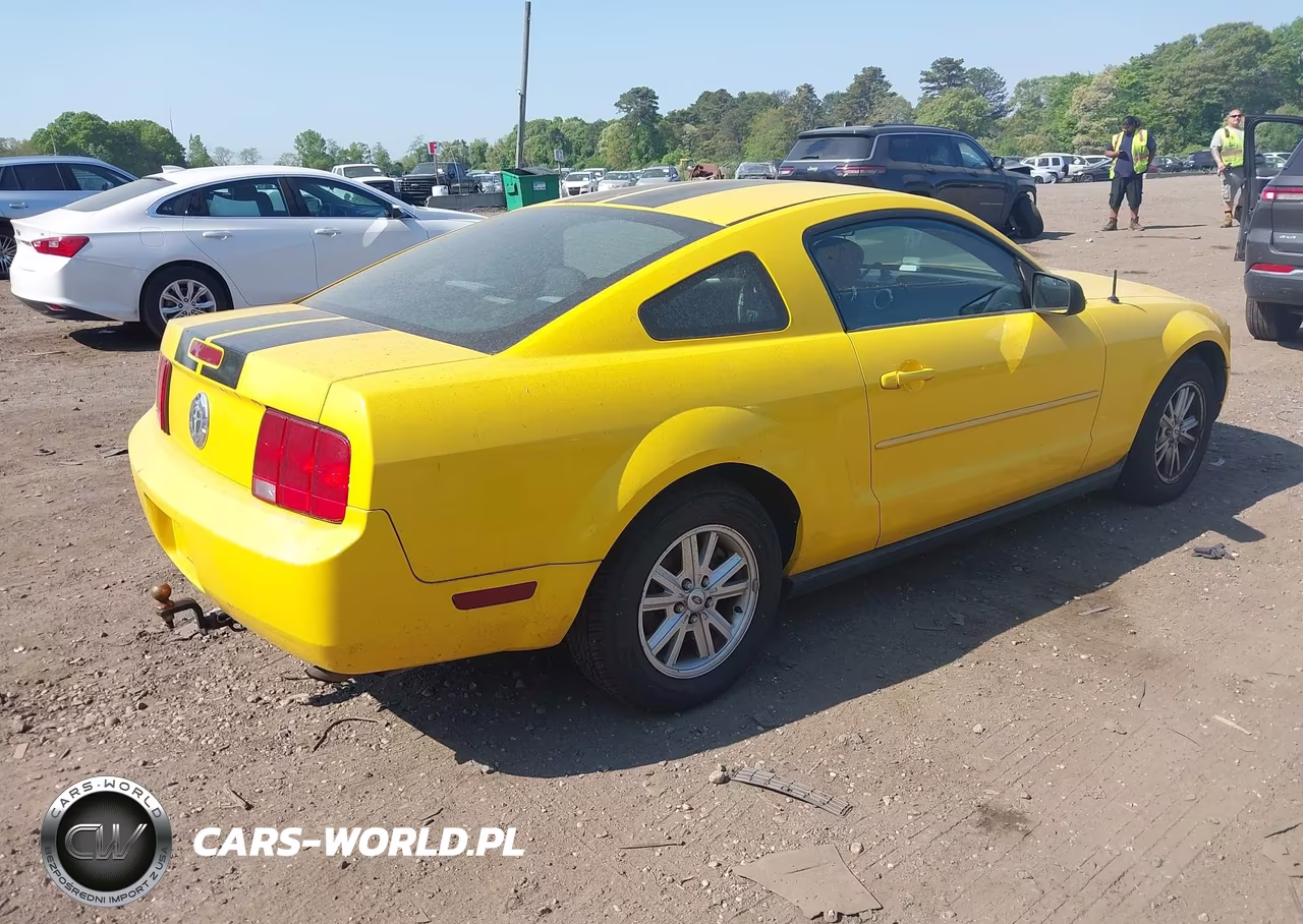 2005 Ford Mustang V6 Deluxe-V6 Premium VIN:1ZVFT80N355219781 - 4