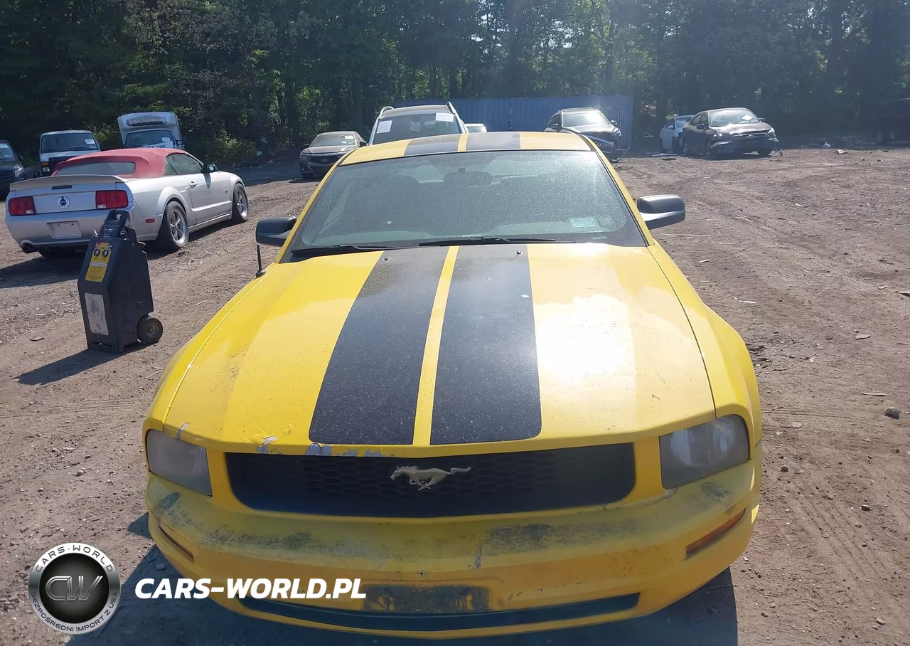 2005 Ford Mustang V6 Deluxe-V6 Premium VIN:1ZVFT80N355219781 - 6
