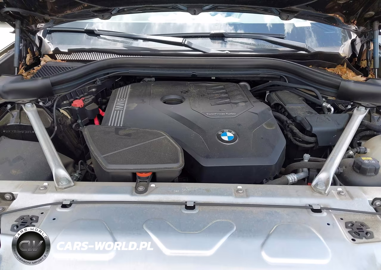 2021 BMW X3 Sdrive30I VIN:5UXTY3C08M9F36815 - 10
